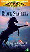 The Black Stallion